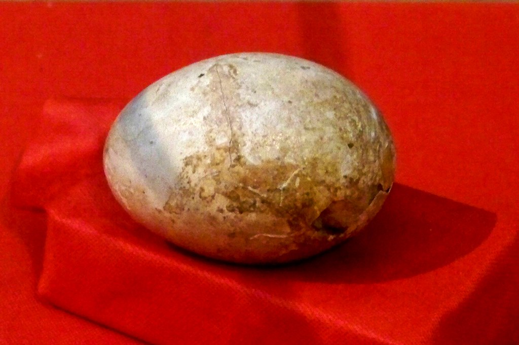 Roman egg shell located inside of the Yorkshire Museum