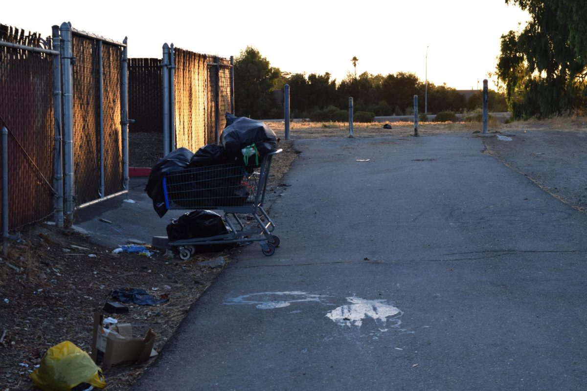 Abandoned cart located on the outskirts of suburban apartments containing bags of belongings. 