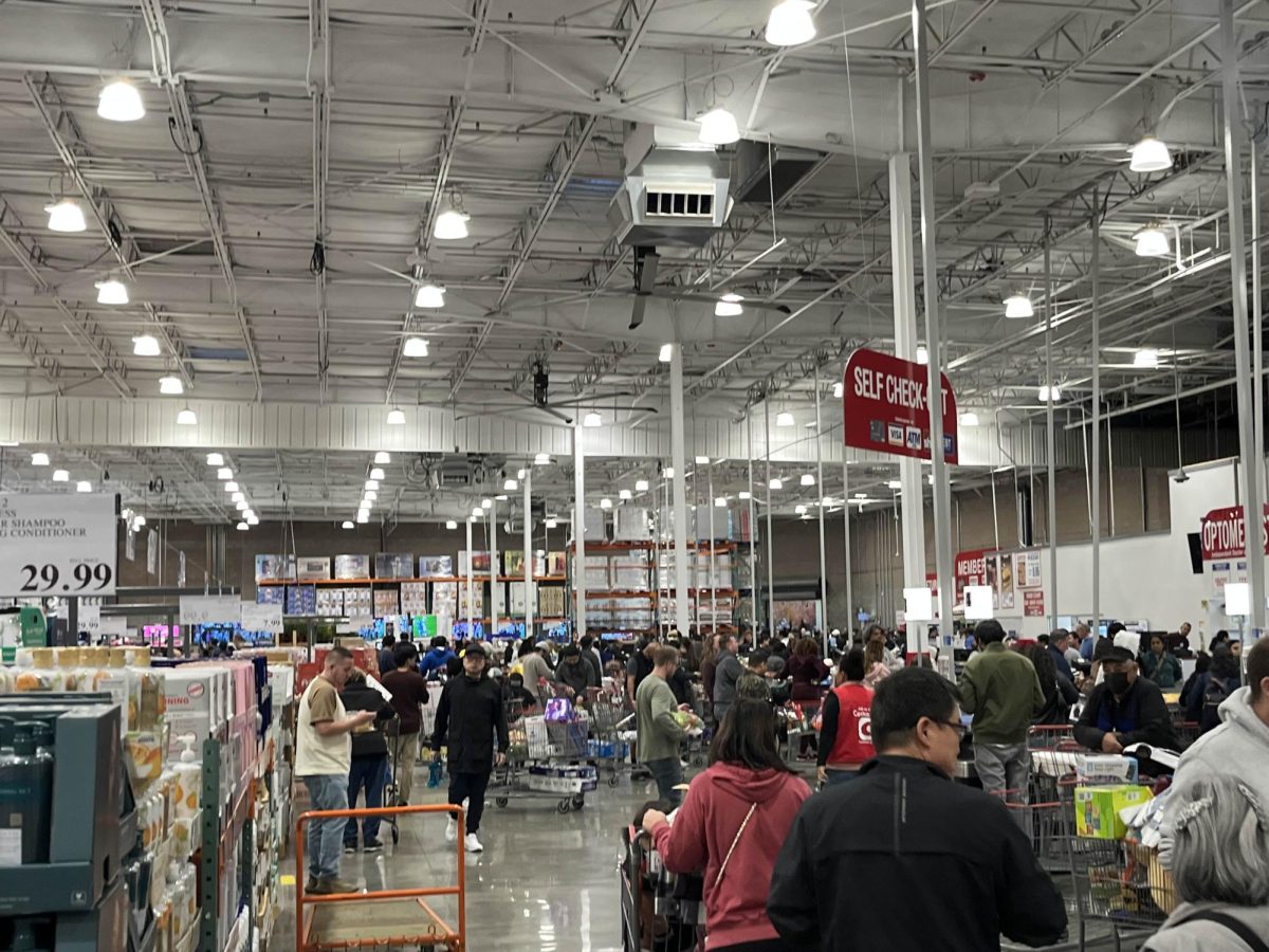 Costco Checkout