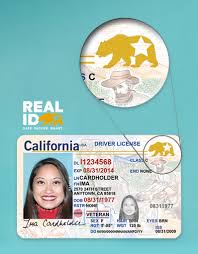 REAL ID Indicator