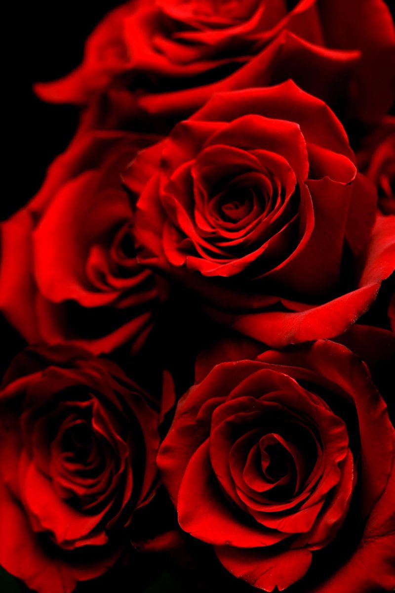 The Remake of "The War of the Roses" Lacks Focus and Is Not Funny