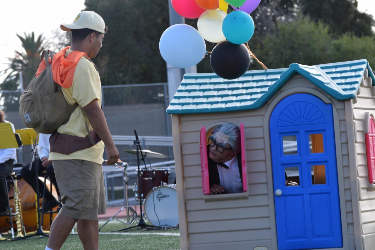 Russel getting Carl Fredricksen out of his house.