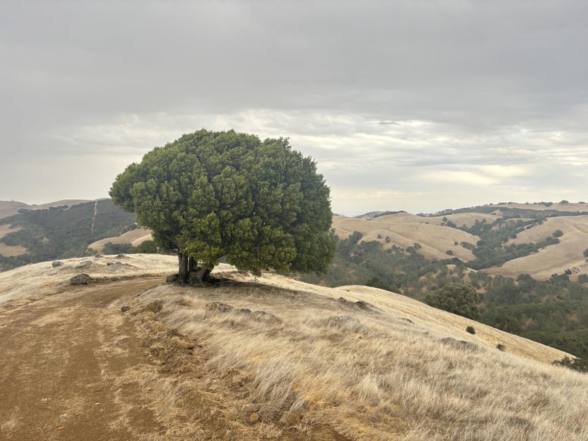 Why Morgan Territory is the Best Park Near Livermore.