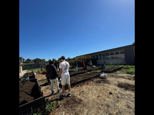 Culinary Students tending to Garden Beds