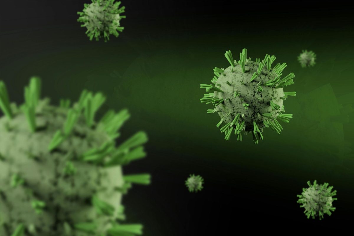 HantaVirus: What to expect