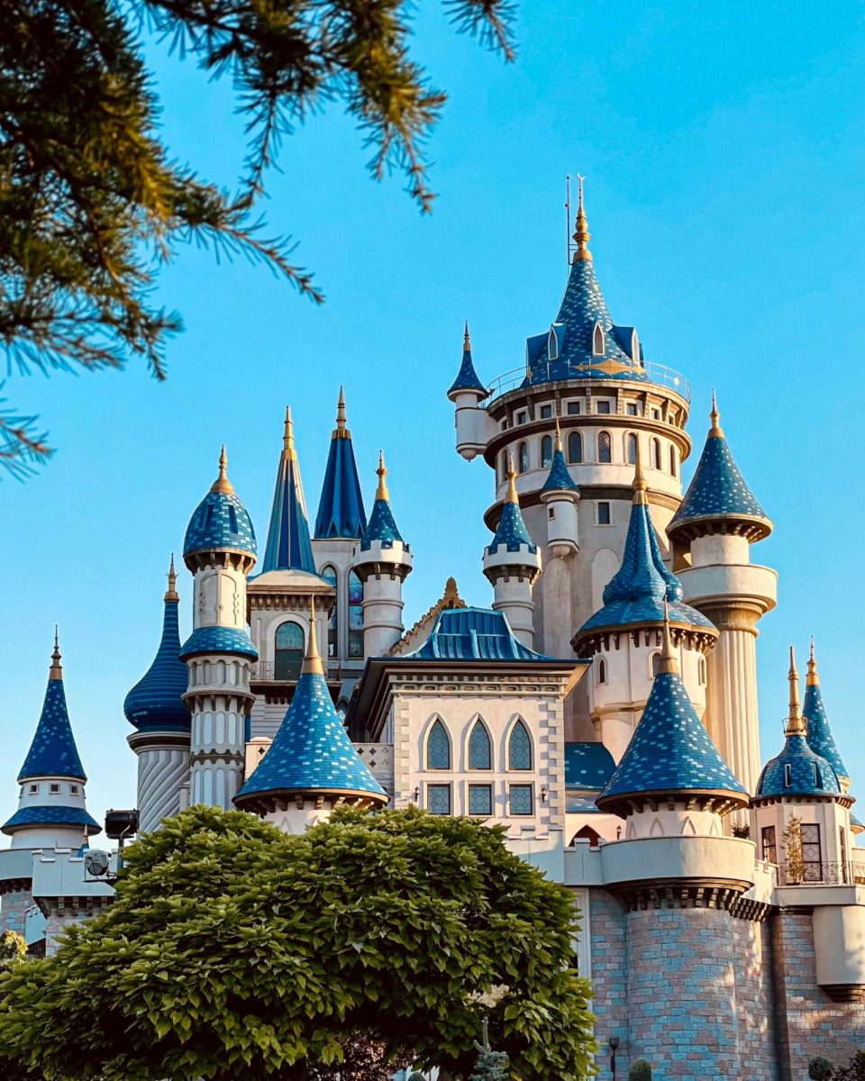 Disney Castle
